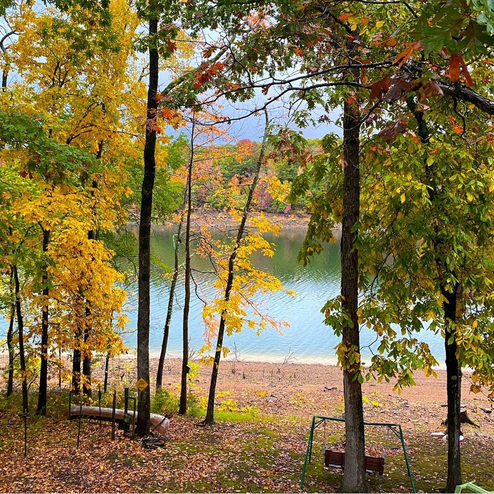🍁It’s Fall!🍁 - Picture 4 of 4